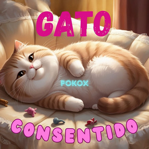 PokoX - Gato Consentido