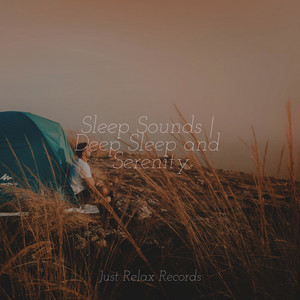 Sleep Sounds | Deep Sleep and Serenity