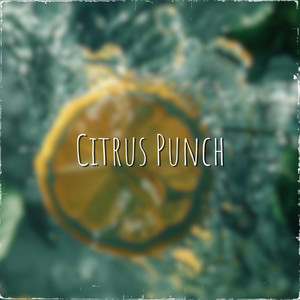 Citrus Punch by Lemon Radio