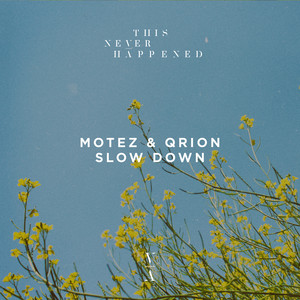 Slow Down by Motez, Qrion