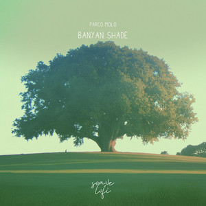 Banyan Shade by Parco Molo, soave lofi