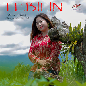 Tebilin