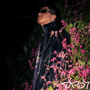 dboy - Senhor SOLITUDE