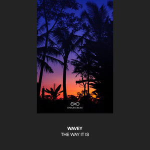 The Way It Is by Wavey