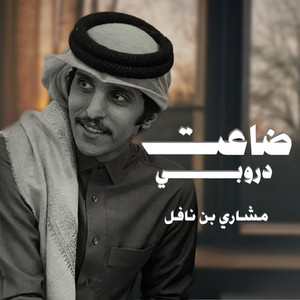 ضاعت دروبي by مشاري بن نافل