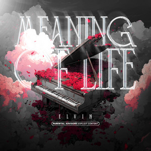 Meaning of life by Elvin