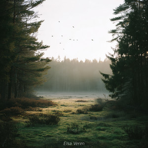 Birdflight by Elsa Veren