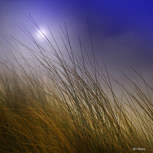 Aire de campo by Variado Musica