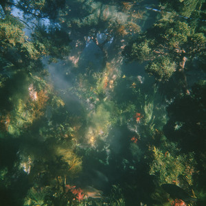 Willow by Bass Kick