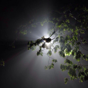 Portada de Too Many Nights