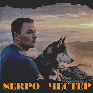 Честер by SERPO