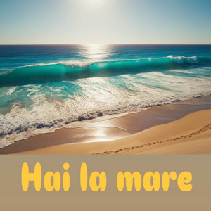 Trasnet - Hai La Mare