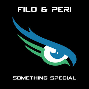 Something Special cover art