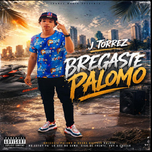Bregaste palomo by J torrez