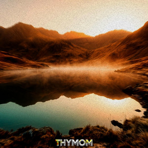 pa.per by THYMOM