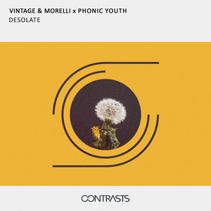 Desolate by Vintage & Morelli, Phonic Youth
