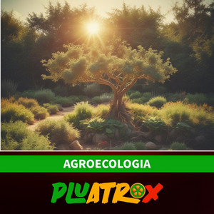 Agricultura Orgânica