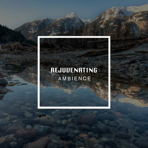 # 1 Album: Rejuvenating Ambience album