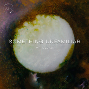 Something Unfamiliar by MR SEGAR