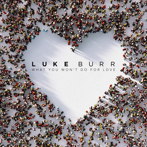 What You Won't Do For Love by Luke Burr