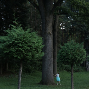 album cover: Вечно зелёные аллеи