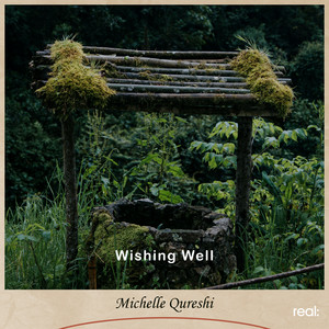 Wishing Well by Michelle Qureshi