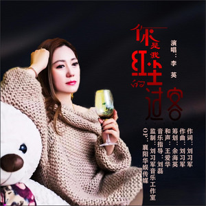 李英 - 你是我红尘的过客 (DJ伟然版)