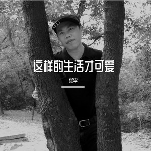 换来恨无边 - 伴奏 by 张平