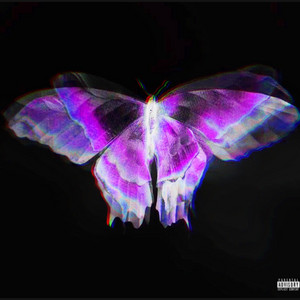 その他 BUTTERFLY [CD] Butterfly Dream (蝶になる夢を見た) High Resolution 24bit/48k | Minuano