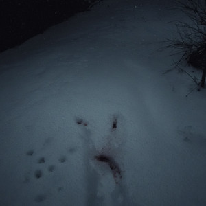 no one left alive... but you ?
