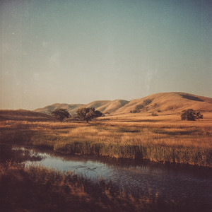 Take a picture by cozy