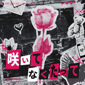 Toi Toi Toi - Bloom Anyway