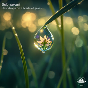 dew drops on a blade of grass by Subhavani