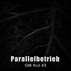 Parallelbetrieb cover