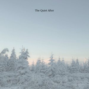 The Quiet After by Elio Esyro