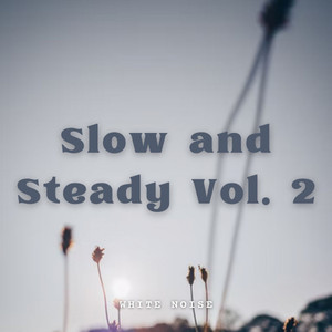 White Noise: Slow and Steady Vol. 2 album