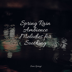 Spring Rain Ambience Melodies for Soothing album