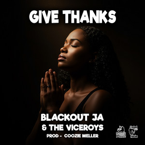 The Viceroys | Spotify