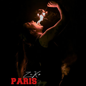 PARIS by ZeKo