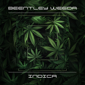 Indica by Bentley Weeda