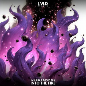 Into The Fire by InSulin, DAVID BLK