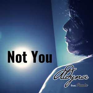 Aldyna - Not You (feat. Pandu)