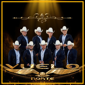 Vuelo norte - Que vuelvas