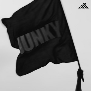 Junky by CP KING, VibyN