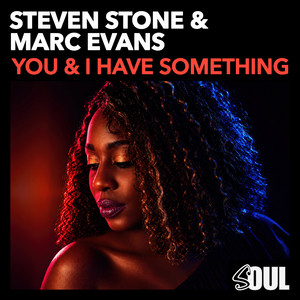 You & I Have Something - Radio Mix by Steven Stone, Marc Evans