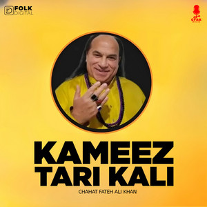 Chahat Fateh Ali Khan - Kameez Tari Kali