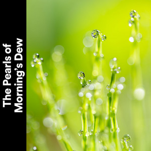 The Pearls of Mornings Dew album