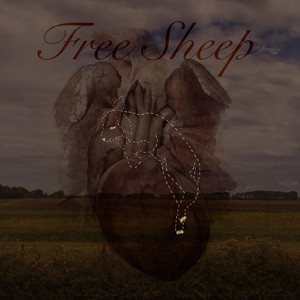 Free Sheep