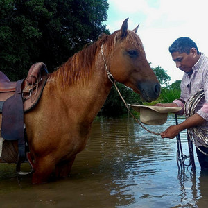 Chulo - Vamos Caballo