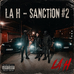 Sanction #2 by LA H mardelle